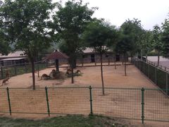 -石家庄市动物园