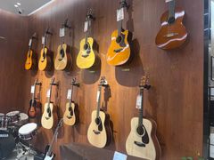 -知音艺术教育培训·钢琴培训·音乐培训(河西金鹰世界校区)