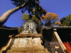 -潭柘寺景区