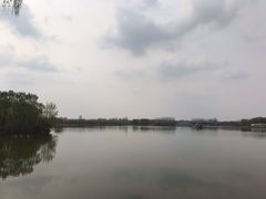 -大兴滨河森林公园