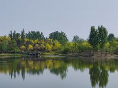 -东郊湿地公园