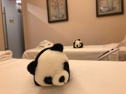 -美丽田园Beauty Farm