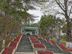 -广州国际生物岛山地公园揽胜园