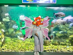 -常州海昌海洋探索馆