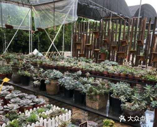 格林东庄🍑 也太interesting了吧🌸 ，不容错过遛娃