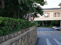 -厦门悦华酒店