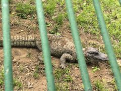 -秦皇岛野生动物园