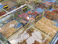-明记海鲜大排档(巽寮湾店)