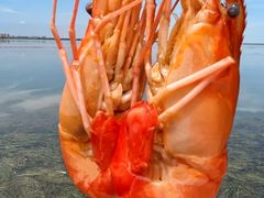 -蟹天蟹地农家菜·阳澄湖大闸蟹(浅水湾店)
