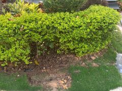 -龙佳生态温泉山庄