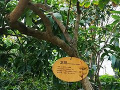 -国家植物园南园