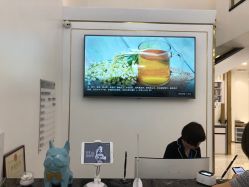 点击看大图 -YESIDO椰岛造型