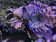 -太平洋海底世界