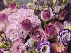 -双季花艺园艺市场(浦东店)