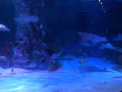 -沈阳海洋探索中心