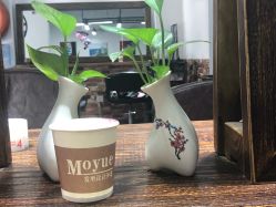 -Moyue HAIR SALON