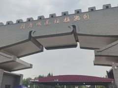 -洛阳市隋唐城遗址植物园