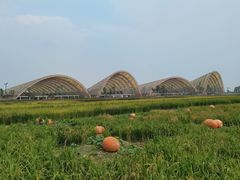 -中国天府农业博览园