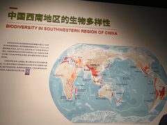 -四川大学博物馆