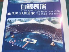 -秦皇岛乐岛海洋王国