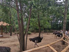 -大连森林动物园