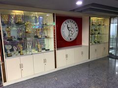 -丁俊晖台球俱乐部(海上海·弘基休闲广场店)