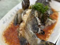 -四川小胡子海鲜(丁村万人海鲜广场店)