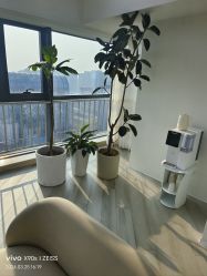 -HEYAN荷妍专业脱毛连锁机构