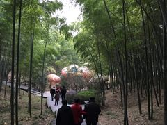 -天目湖山水园