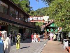 -野象谷景区