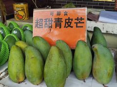 -大湾区中央湿地公园-十九涌