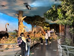 -国家自然博物馆