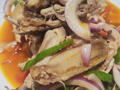 椒麻鸡-马白开来特色羊排揪片子  (总店)