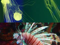 -沈阳海洋探索中心