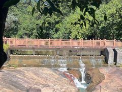 -广州白江湖森林公园