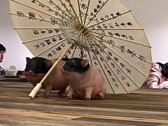 -春家·非遗手工小吃(徐汇万科广场店)
