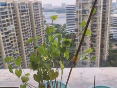 -佰推·肩颈腰·推拿理疗(湾悦城店)