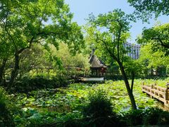 -上海醉白池公园