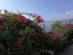 -南诏风情岛