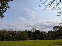 -中国科学院西双版纳热带植物园