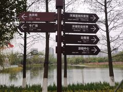 -洋湖国家湿地公园