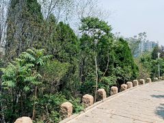 -南翠屏公园