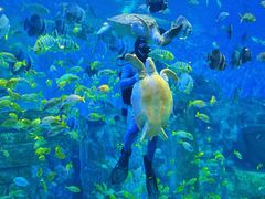 -横店影视城梦幻谷园区