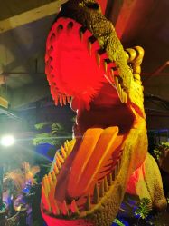 -恐龙探索乐园(磁器口店)