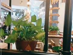 -三十三碗黄牛肉面(东原1891店)