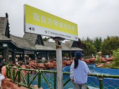 -青岛方特梦幻王国