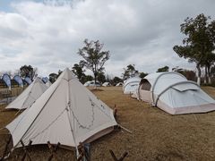 -上海长兴岛郊野公园