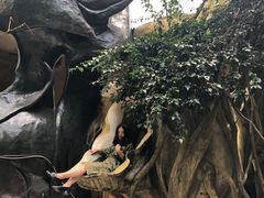 -疯狂屋