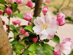 -大兴滨河森林公园