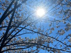 -溪口-滕头旅游景区